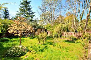 Photo 9- click for photo gallery